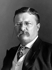 Theodore  Roosevelt