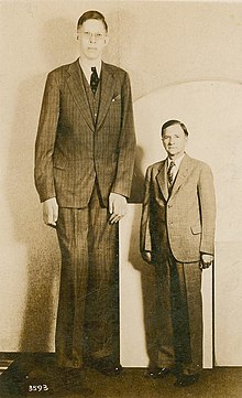 Robert  Wadlow