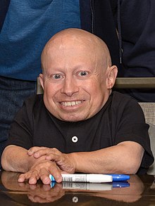 Verne  Troyer